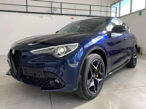 Used ALFA ROMEO STELVIO Diesel 2020 Ad 