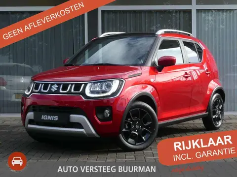 Annonce SUZUKI IGNIS Hybride 2024 d'occasion 