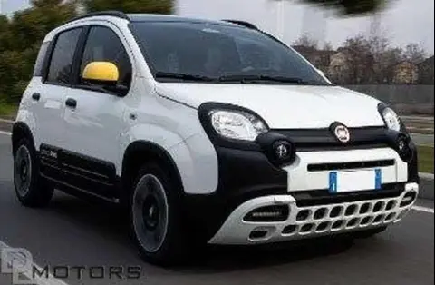 Annonce FIAT PANDA Hybride 2024 d'occasion 