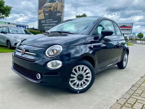 Used FIAT 500 Hybrid 2024 Ad 