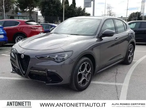 Annonce ALFA ROMEO STELVIO Diesel 2023 d'occasion 