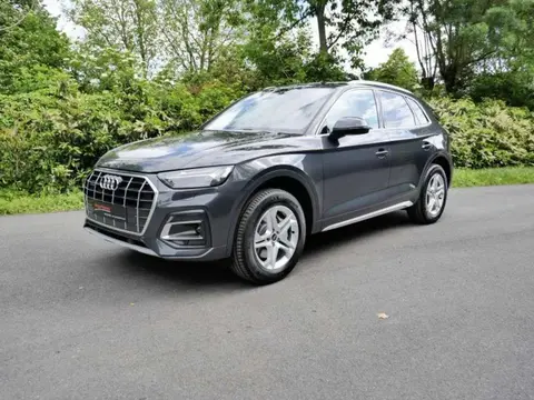 Used AUDI Q5 Hybrid 2023 Ad Belgium