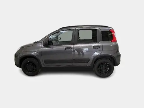 Used FIAT PANDA Petrol 2019 Ad 