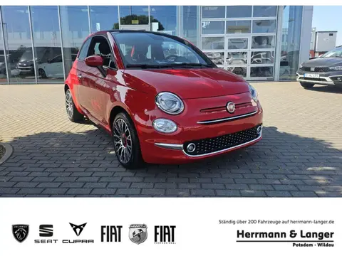 Used FIAT 500 Petrol 2023 Ad 