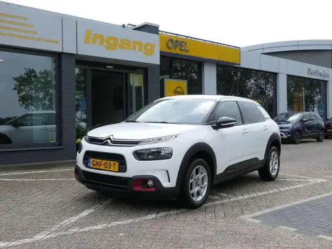 Annonce CITROEN C4 Essence 2019 d'occasion 