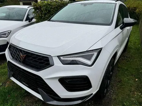 Annonce CUPRA ATECA Essence 2023 d'occasion 