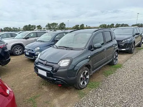 Used FIAT PANDA Hybrid 2024 Ad 