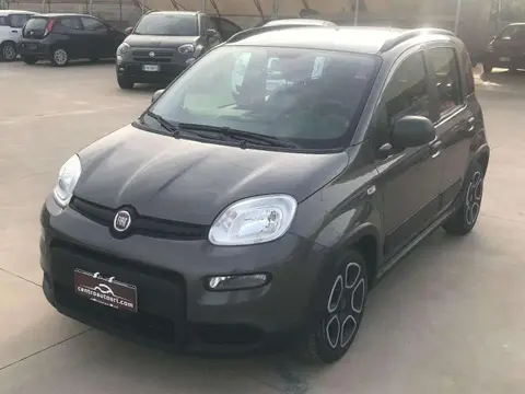 Used FIAT PANDA Petrol 2021 Ad 