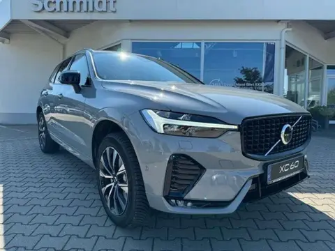 Annonce VOLVO XC60 Diesel 2024 d'occasion 