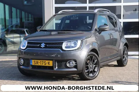 Used SUZUKI IGNIS Petrol 2018 Ad 