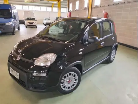 Annonce FIAT PANDA Hybride 2024 d'occasion 