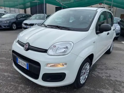 Annonce FIAT PANDA GPL 2020 d'occasion 