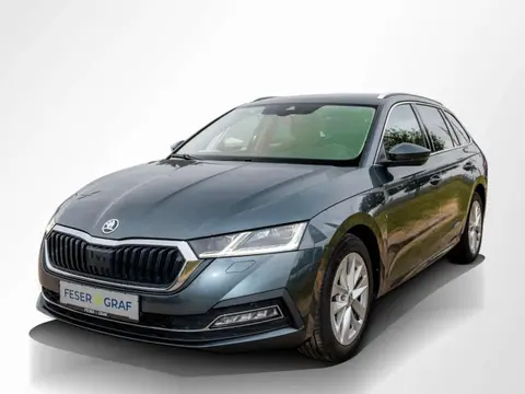 Used SKODA OCTAVIA Diesel 2020 Ad 