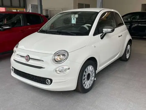 Used FIAT 500 Petrol 2023 Ad 