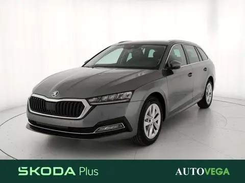 Used SKODA OCTAVIA Diesel 2023 Ad 