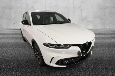 Annonce ALFA ROMEO TONALE Diesel 2024 d'occasion 