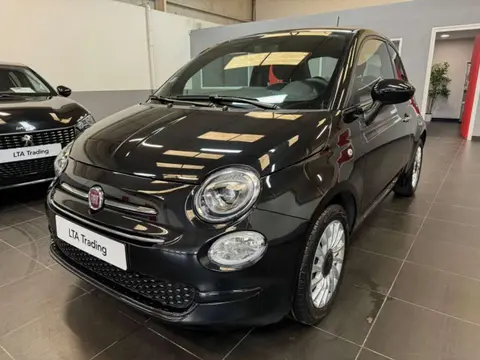 Annonce FIAT 500 Essence 2019 d'occasion 