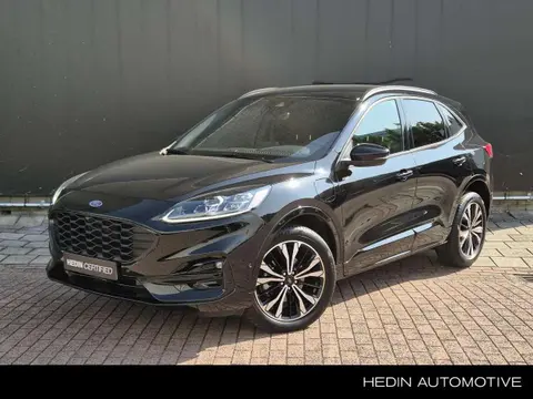 Used FORD KUGA Hybrid 2023 Ad 