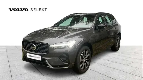 Annonce VOLVO XC60 Essence 2024 d'occasion 