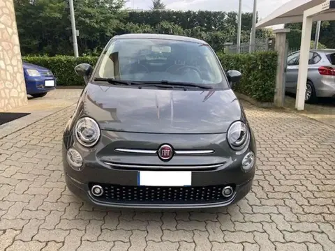 Used FIAT 500 LPG 2019 Ad 