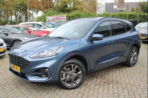 Annonce FORD KUGA Hybride 2022 d'occasion 