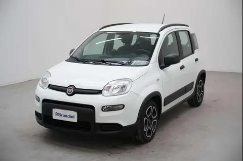 Used FIAT PANDA Hybrid 2021 Ad 