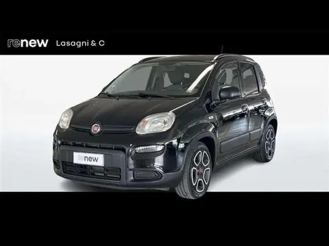 Used FIAT PANDA Hybrid 2022 Ad 