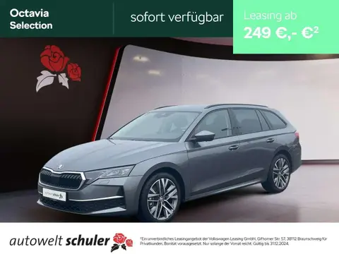 Used SKODA OCTAVIA Diesel 2024 Ad 