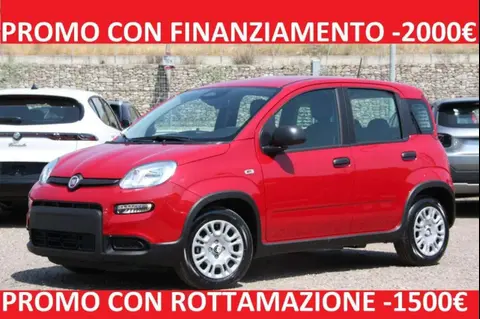 Used FIAT PANDA Hybrid 2024 Ad 