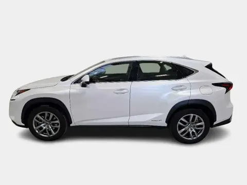 Used LEXUS NX Hybrid 2020 Ad 