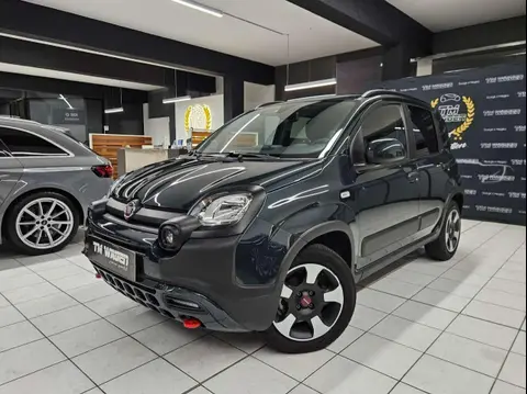 Used FIAT PANDA Hybrid 2023 Ad 