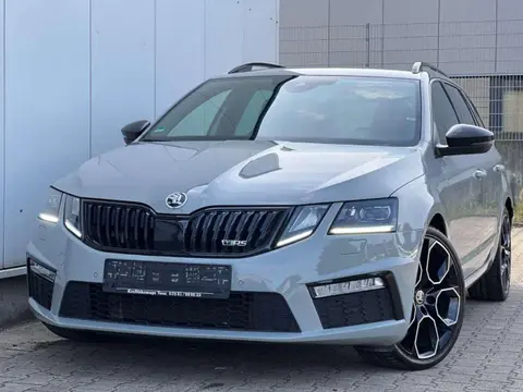 Annonce SKODA OCTAVIA Diesel 2019 d'occasion 