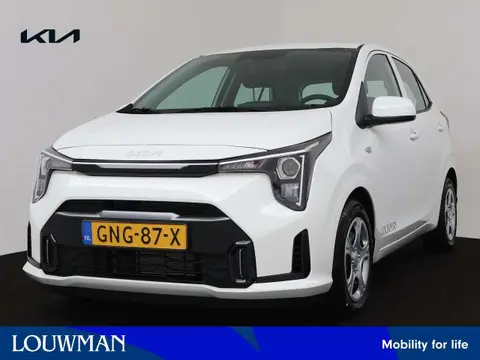 Used KIA PICANTO Petrol 2024 Ad 