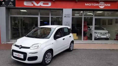 Annonce FIAT PANDA Essence 2019 d'occasion 