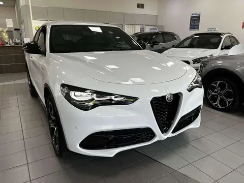 Used ALFA ROMEO STELVIO Diesel 2024 Ad 