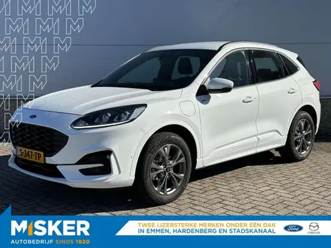 Annonce FORD KUGA Hybride 2023 d'occasion 