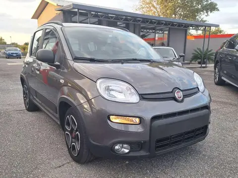 Annonce FIAT PANDA Hybride 2022 d'occasion 