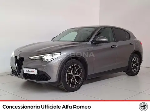 Used ALFA ROMEO STELVIO Diesel 2020 Ad 