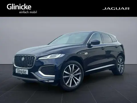 Used JAGUAR F-PACE Hybrid 2023 Ad 