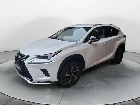 Used LEXUS NX Hybrid 2021 Ad 