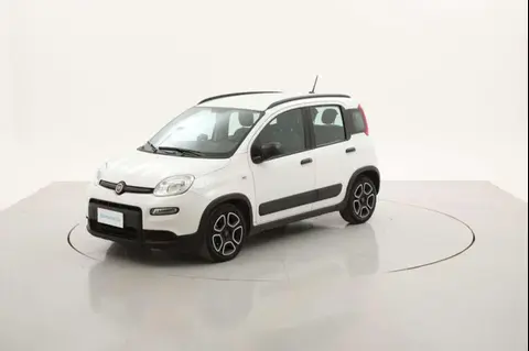 Used FIAT PANDA Hybrid 2022 Ad 