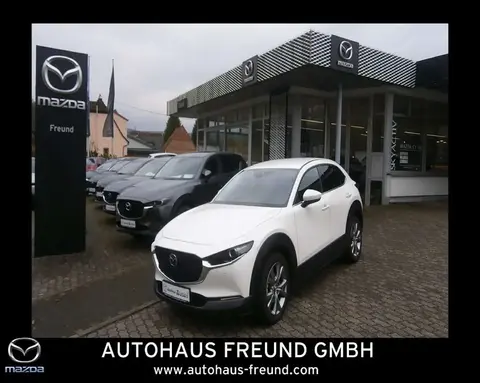 Annonce MAZDA CX-30 Hybride 2021 d'occasion 