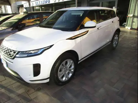 Used LAND ROVER RANGE ROVER EVOQUE Hybrid 2020 Ad 