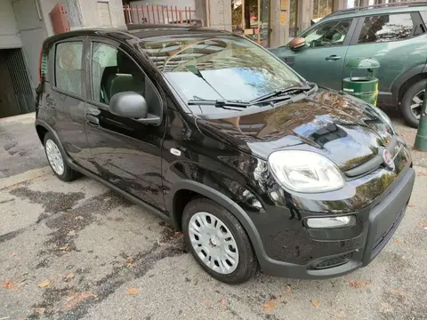 Used FIAT PANDA Hybrid 2024 Ad 