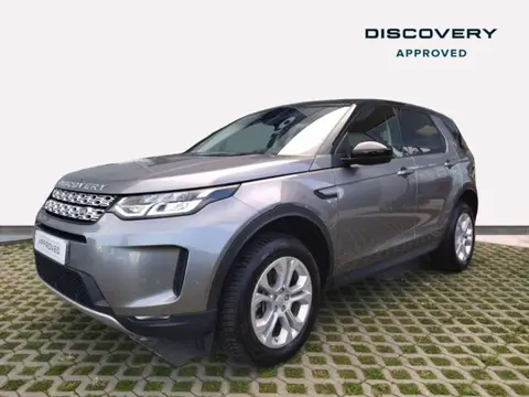 Used LAND ROVER DISCOVERY  2020 Ad 