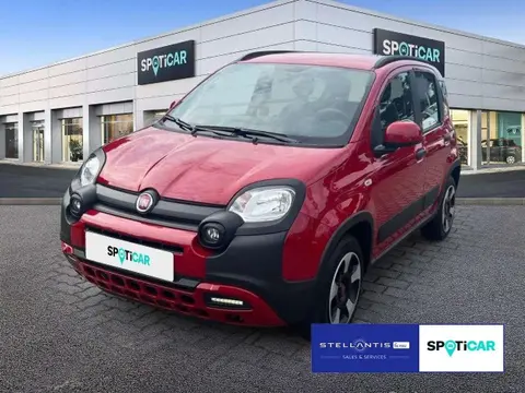 Used FIAT PANDA Petrol 2023 Ad 