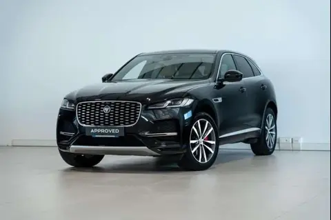 Used JAGUAR F-PACE Hybrid 2021 Ad 