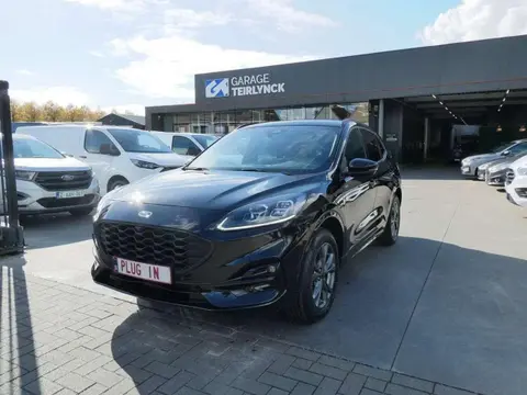 Used FORD KUGA Hybrid 2023 Ad 