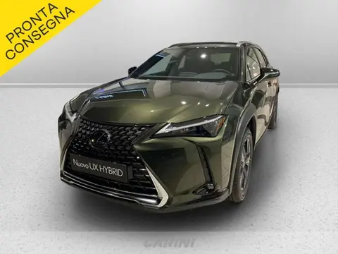 Annonce LEXUS UX Hybride 2024 d'occasion 