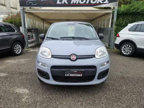 Annonce FIAT PANDA Essence 2019 d'occasion 